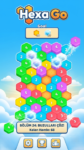Hexa Go Puzzle 2